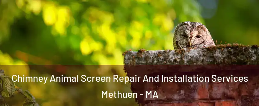  Chimney Animal Screen Repair And Installation Services Methuen - MA