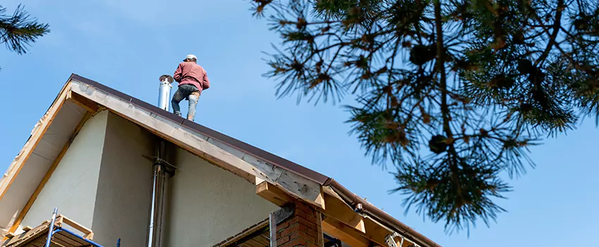 Birds Removal Contractors from Chimney in Methuen, MA
