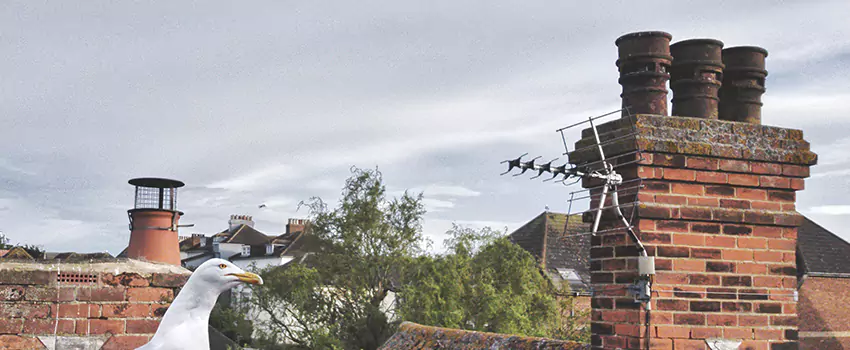 Chimney Cleaning And Restoration in Methuen, Massachusetts