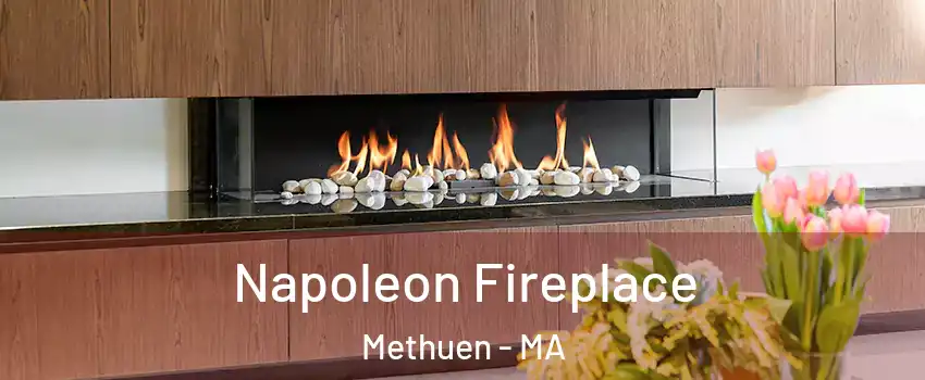  Napoleon Fireplace Methuen - MA